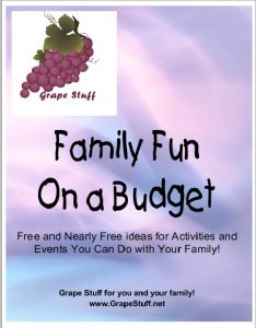 Family Fun on a Budget Cover